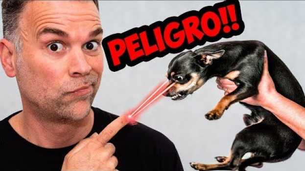 Video Perros AGRESIVOS 😱- 3 Cosas que NO sabes [A no ser que seas EXPERTO]   türkçe