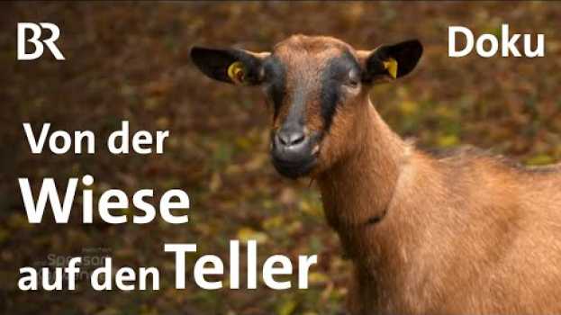 Video Bocksbraten: Paul Enghofer beim Kochen zur Kerwa | Doku | Zwischen Spessart und Karwendel | BR su italiano