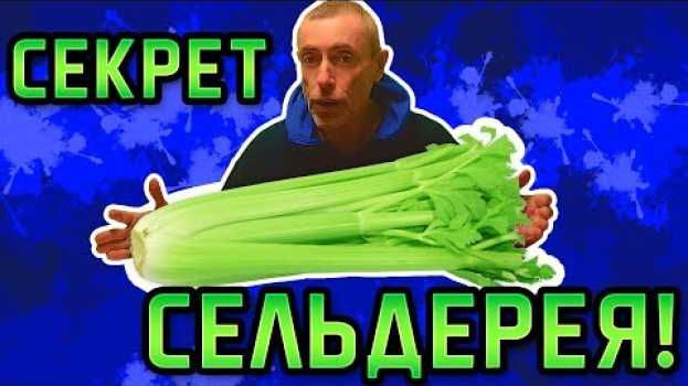 Video ЭТО РАСТЕНИЕ ПОДАРИТ ЕЩЕ 30 ЛЕТ ЖИЗНИ! Гемоглобин, авитаминоз, магний, облысение, сельдерей секрет auf Deutsch
