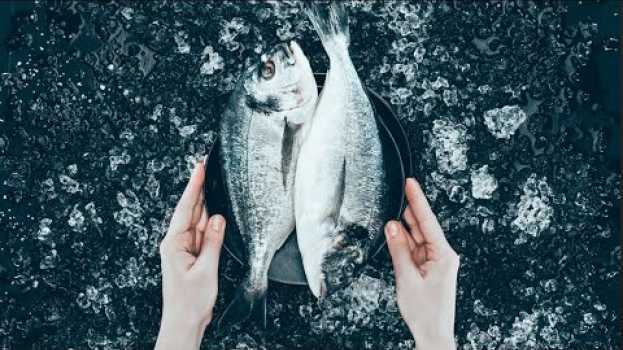 Video Is there actually an ethical reason to not eat fish? en español