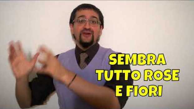 Video Prima i confetti e dopo i difetti | Impara i proverbi italiani en français