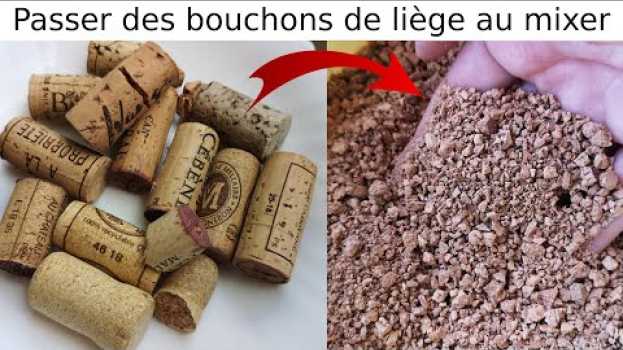 Video Comment broyer des bouchons en liège: test avec mixer et blender de cuisine   türkçe