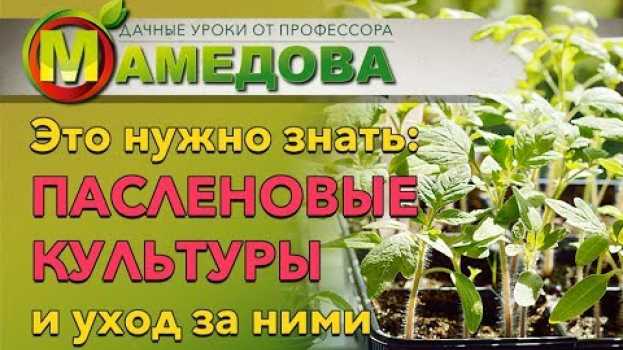 Video Это Нужно Знать: ПАСЛЕНОВЫЕ КУЛЬТУРЫ и Уход за Ними en español