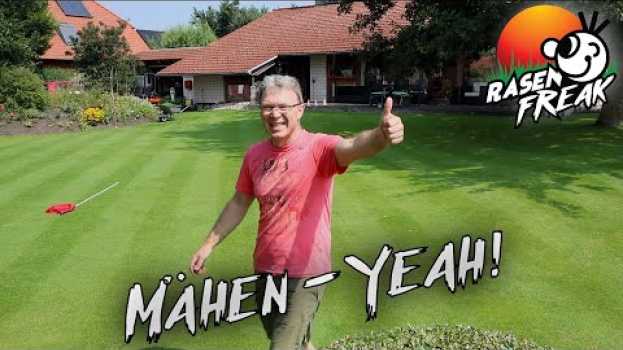 Video RASEN mähen, YEAH! - der RASENFREAK mäht das erste Mal nach dem Urlaub in English
