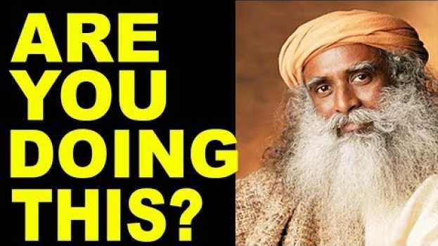 Video 3 Things High Vibrational People ALWAYS Do to be in a High Vibration en français