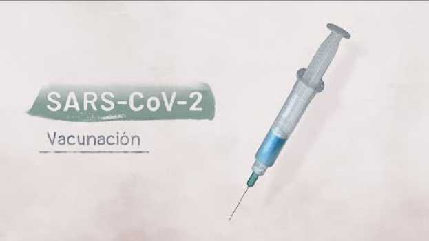 Video La biología del SARS-CoV-2: Vacunación | Video HHMI BioInteractive po polsku
