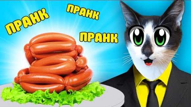 Video ПРАНКИ НА 1 АПРЕЛЯ! КОТ И КОШКА МУРКА РАЗЫГРАНЫ! НОВЫЕ ПРИКОЛЫ! 5 СМЕШНЫХ ПРАНКА НАД ДРУЗЬЯМИ in English