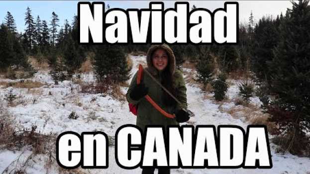 Video Esto sucede cada año en cada navidad en Canada po polsku