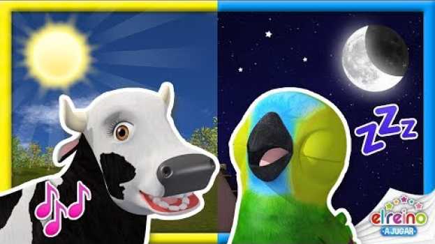 Video El Día Y La Noche | Jugamos Y Dormimos | A Jugar   türkçe