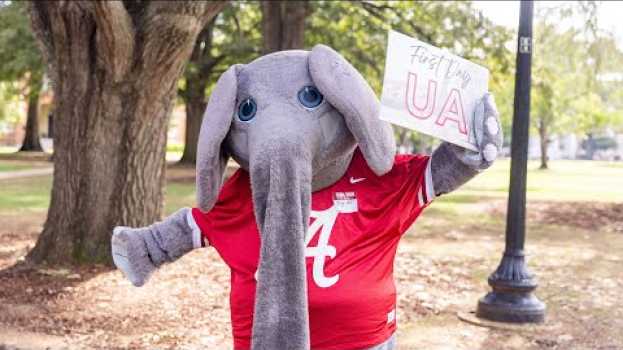 Video First Day UA 2022 | The University of Alabama em português