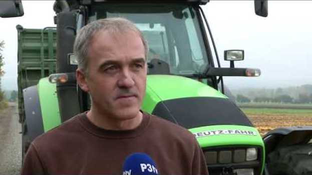 Video Unsere Landwirtschaft in NÖ - Stark in der Ölproduktion en español