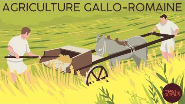 Video Une année dans les campagnes de Gaule romaine po polsku