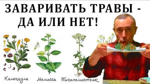 Video ЗАВАРИВАТЬ ТРАВЫ - ДА ИЛИ НЕТ! ЭТО УБИРАЕТ ВАРИКОЗ! Островский Вены на ногах, Вопрос ответ, березка. su italiano