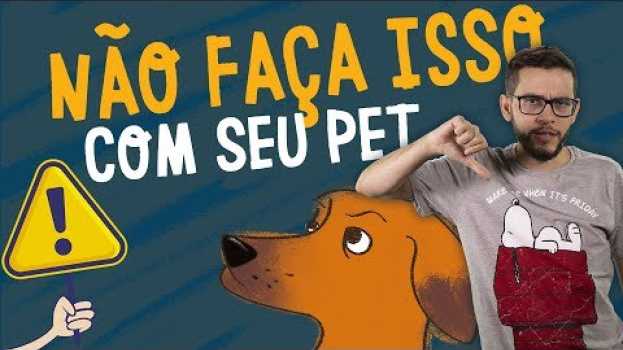 Видео 7 COISAS QUE O SEU CACHORRO ODEIA EM VOCÊ | CATIORO REFLEXIVO на русском