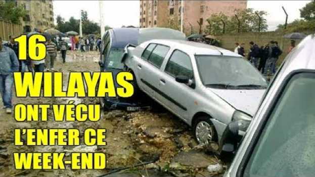 Video INONDATIONS | 16 WILAYAS ONT VÉCU L’ENFER CE WEEK-END Le bilan s’est alourdi à 7 morts em português