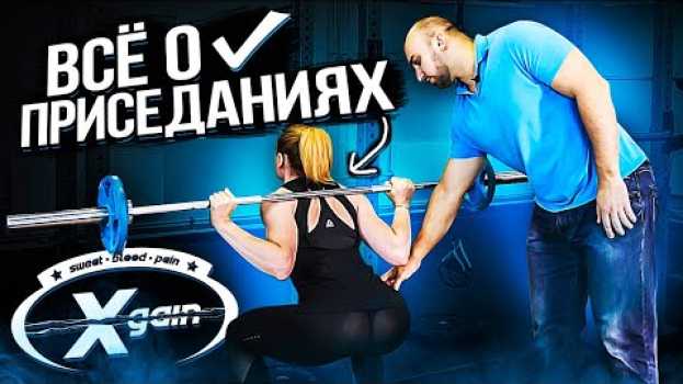 Video Всё о приседаниях со штангой. Техника, биомеханика, анатомия, травмы и восстановление. em português