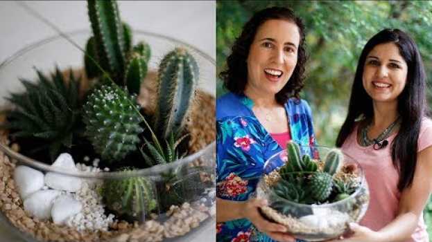 Video Como Fazer Terrário Moderno (Part. Alice Barra) | Nô Figueiredo auf Deutsch