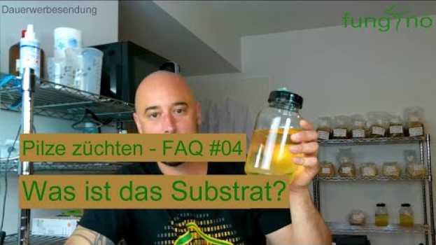 Видео Pilze züchten - Was ist das Substrat bzw. Nährmedium in der Pilzzucht? FAQ #4 на русском