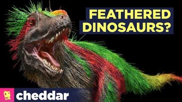 Video Dinosaurs Were Probably Feathered, Bright...and Beautiful - Cheddar Explores   türkçe