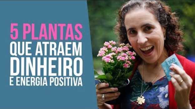 Видео 5 Plantas que Atraem Dinheiro e Energia Positiva | Nô Figueiredo на русском