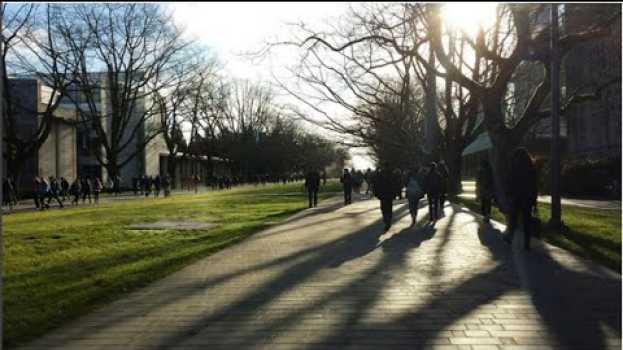Video UBC Students Talk: Things you wish you knew in first year! auf Deutsch