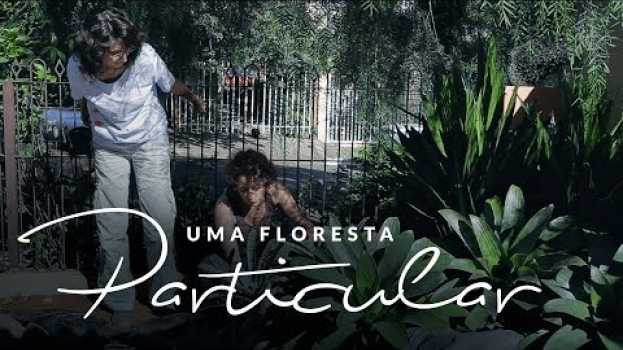 Video Jardim das Ideias #39: Uma floresta particular in English