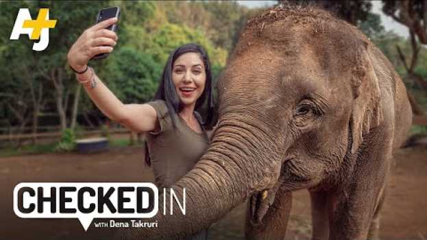 Video Why There Are No Elephant Sanctuaries in Thailand em português