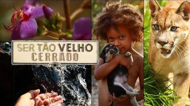 Видео Trailer - Ser Tão Velho Cerrado на русском