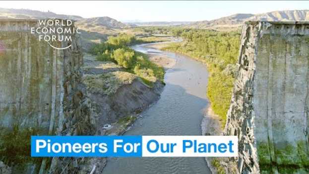Video This organisation is removing dams and restoring rivers | Pioneers For Our Planet em português