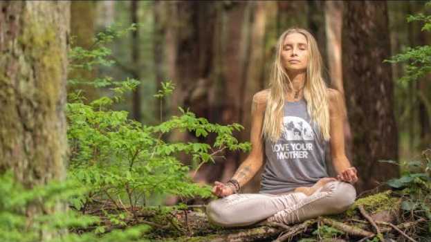 Видео 15 Minute Guided Meditation | Strength & Grounding In Stressful Times на русском