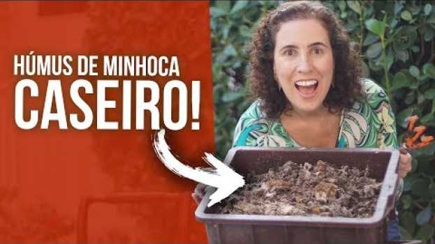 Video Como Fazer seu Próprio Húmus de Minhoca | Nô Figueiredo en français
