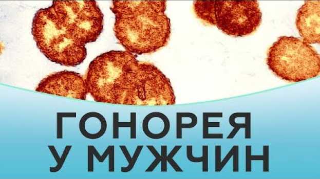 Video Гонорея у мужчин. Лечение гонореи po polsku