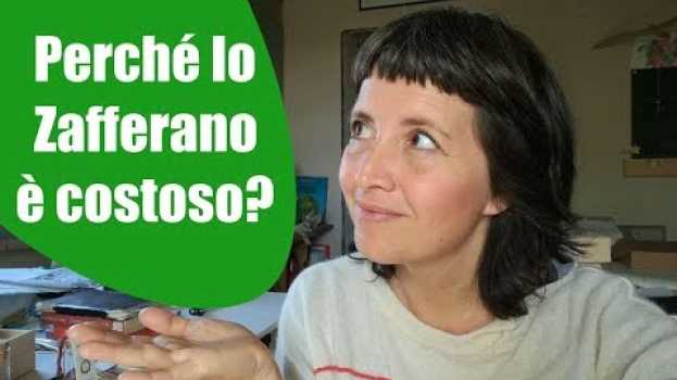 Video Perché lo Zafferano è costoso ? em português