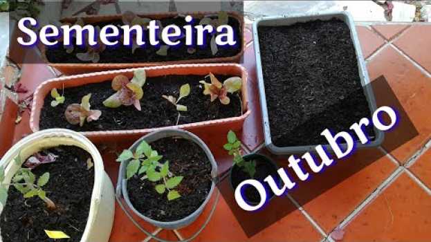Video O que semear e plantar Portugal - Outubro po polsku
