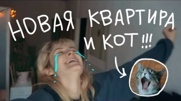 Video Мы переехали и взяли кота! | nixelpixel em português