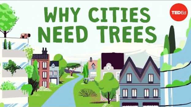 Video What happens if you cut down all of a city's trees? - Stefan Al   türkçe