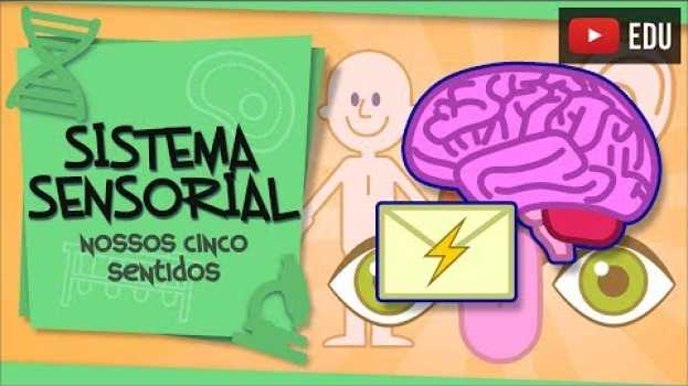 Видео Sistema Sensorial - os nossos 5 sentidos на русском