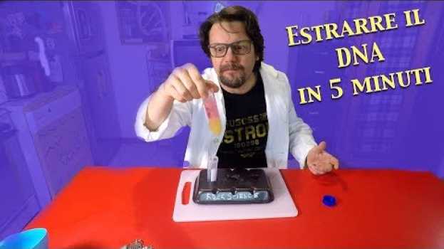 Video Come si estrae il DNA da qualunque organismo in 5 minuti. E perchè il DNA somiglia a muco? auf Deutsch