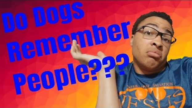 Video Do dogs remember people??? po polsku