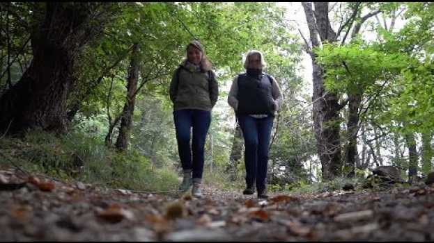 Video Una passeggiata archeologica sul Sacro Monte en français