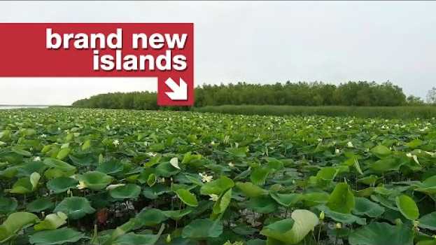 Video The only bit of Louisiana's coast that isn't sinking   türkçe