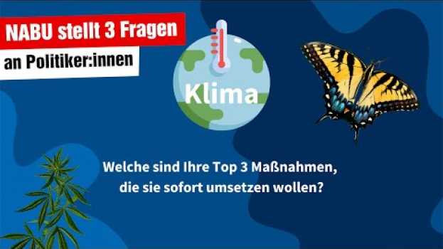 Video NABU fragt die linke MdB Anke Domscheit-Berg zu Klimazielen, Artenvielfalt und Renaturierung su italiano