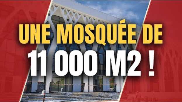 Video ? MOSQUÉE DE MULHOUSE : DEUX FOIS PLUS GRANDE QUE NOTRE-DAME su italiano