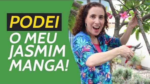 Video PODEI MEU JASMIM MANGA! VEJA COMO FICOU! | Nô Figueiredo in English