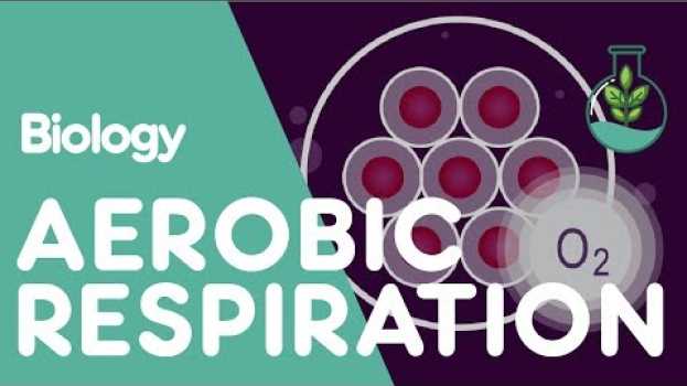 Видео What Is Aerobic Respiration? | Physiology | Biology | FuseSchool на русском
