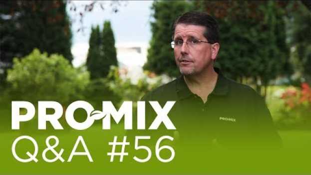 Video Why are there 2 lime sources in many PRO-MIX products? auf Deutsch