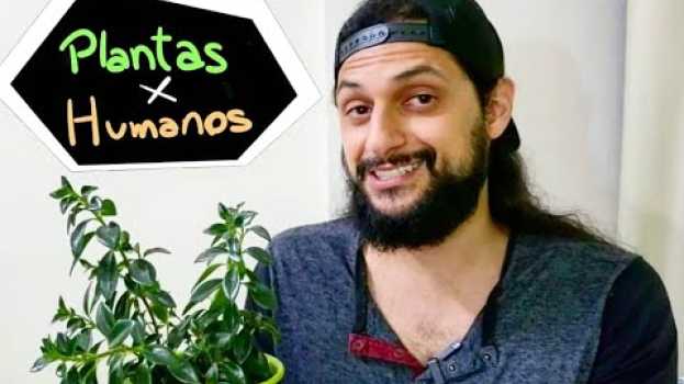 Video SEMELHANÇAS entre PLANTAS e HUMANOS? su italiano