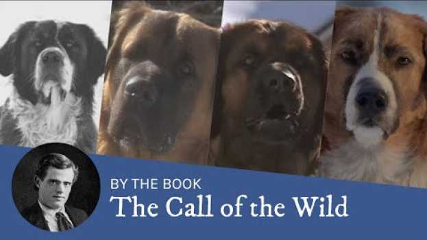 Video Book vs. Movie: The Call of the Wild (1935, 1976, 1996, 2020) en español