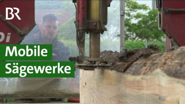 Video Ein Lichtblick für Waldbauern: Begehrtes Bauholz dank mobiler Sägewerke | Unser Land | BR en français