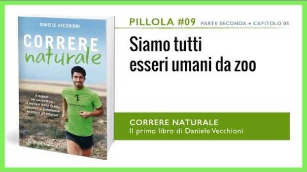 Video Pillola #09 - SIAMO TUTTI ESSERI UMANI DA ZOO [dal Libro "CORRERE NATURALE"] in English